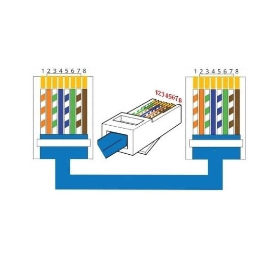 Cat 6 Patch Cord UTP Network Cable